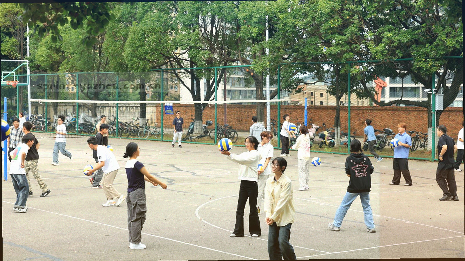 深墨绿底色上由荧光黄细线交织成的抽象网络纹理，线条规则、无文字